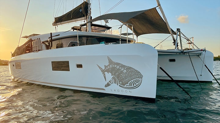 Whaleshark Lagoon 42